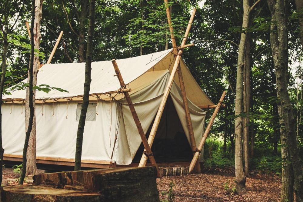 Fronterra Farm- Luxury Camp Experiences