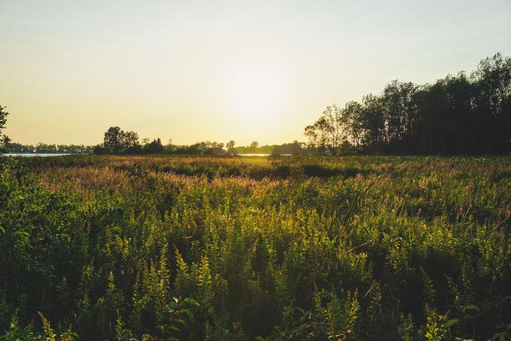 Fronterra Farm- Luxury Camp Experiences Camping Hillier