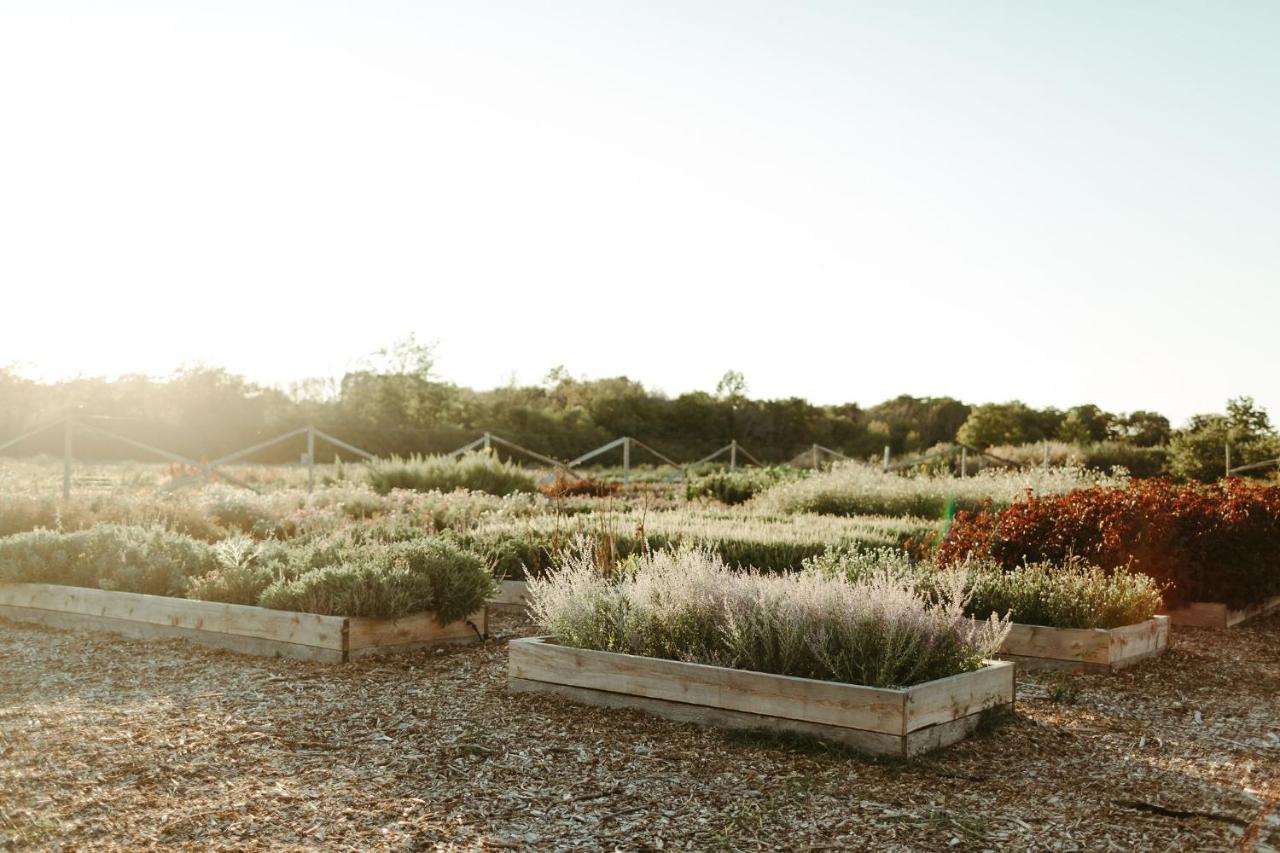 Fronterra Farm- Luxury Camp Experiences *