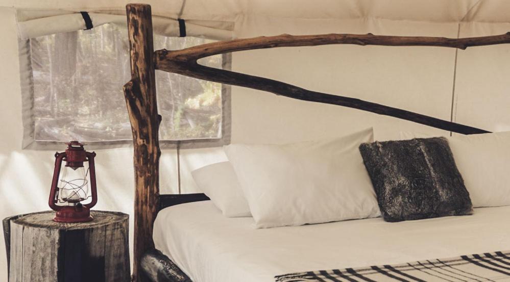 Camping Fronterra Farm- Luxury Camp Experiences