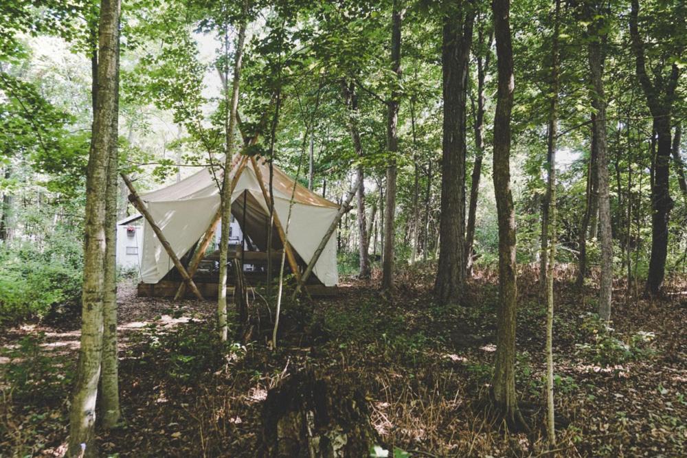 Fronterra Farm- Luxury Camp Experiences Campsite Hillier