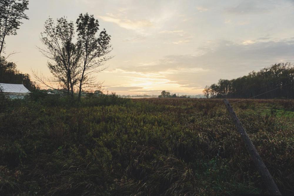 Fronterra Farm- Luxury Camp Experiences Hillier