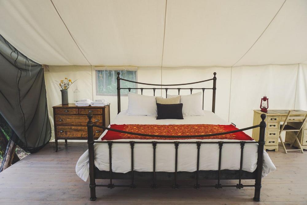 Fronterra Farm- Luxury Camp Experiences Camping