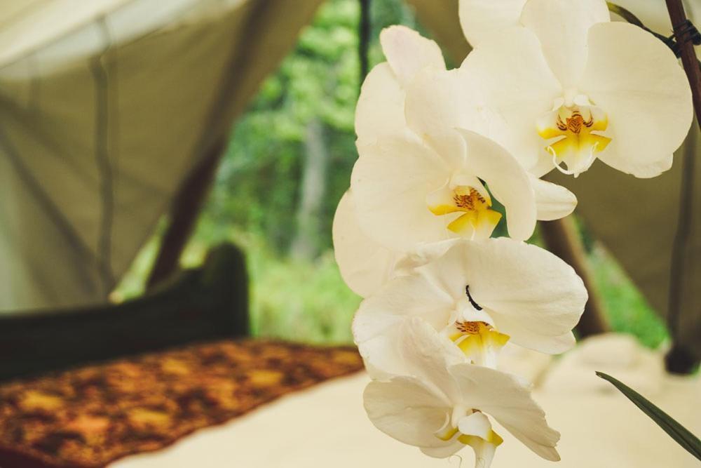 Camping Fronterra Farm- Luxury Camp Experiences Hillier