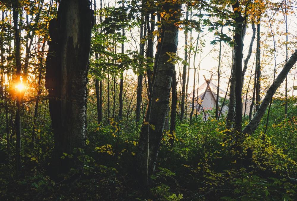 Camping Fronterra Farm- Luxury Camp Experiences Hillier